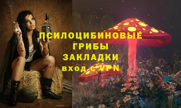 таблы Новозыбков